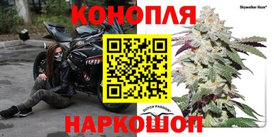 дживик Будённовск