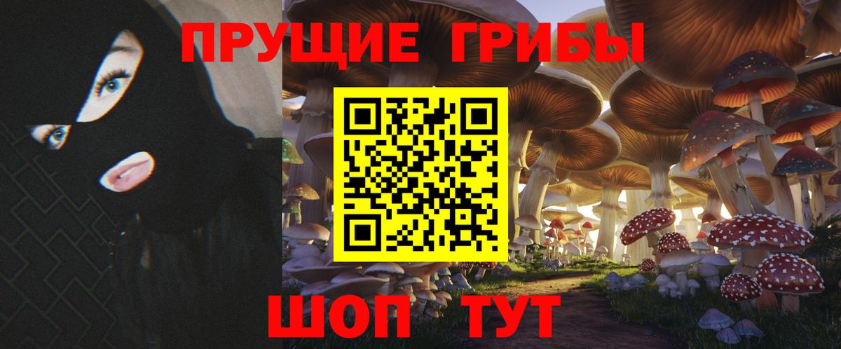 Галлюциногенные грибы Cubensis  Вход с VPN  Челябинск 