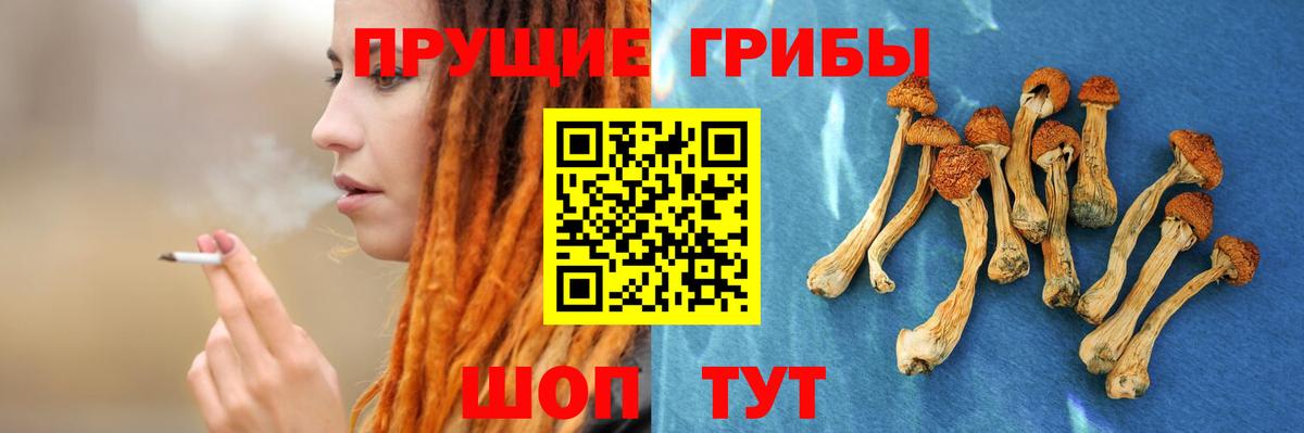 Псилоцибиновые грибы MAGIC MUSHROOMS Челябинск